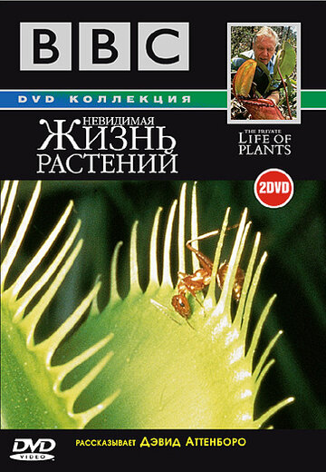 Смотреть BBC: Невидимая жизнь растений (1995) онлайн в Хдрезка качестве 720p